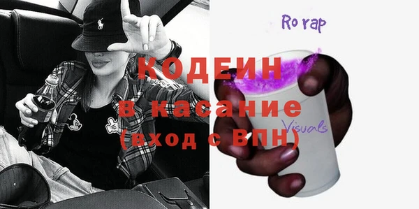 ПСИЛОЦИБИНОВЫЕ ГРИБЫ Гусев
