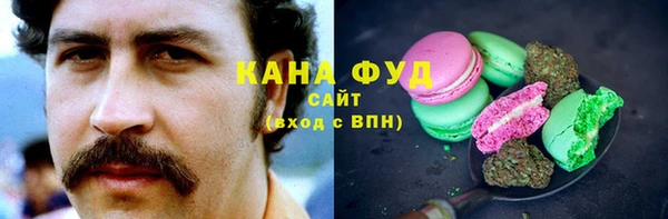 МДПВ Дмитриев