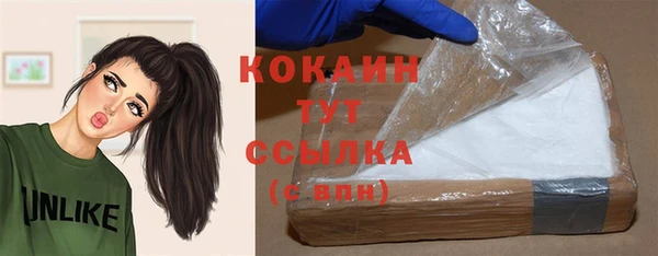молекула духа Елизово