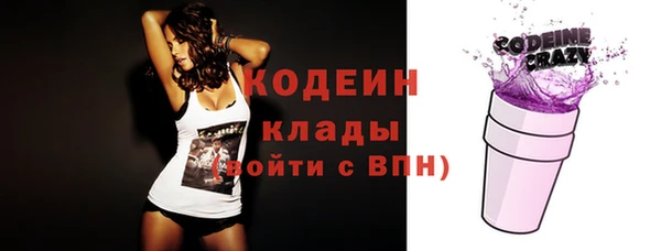 МДПВ Дмитриев